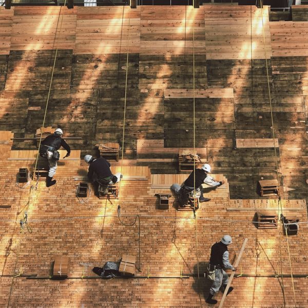 group of people hanging on wall during daytime
